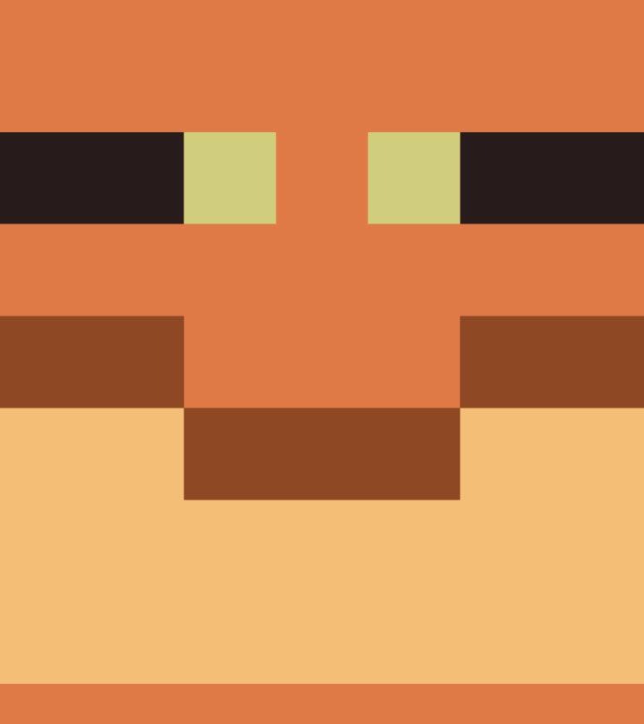 Frog Minecraft Poster Minecraft Official Shop | Clothing, Accessories, and Plush Gifts ...